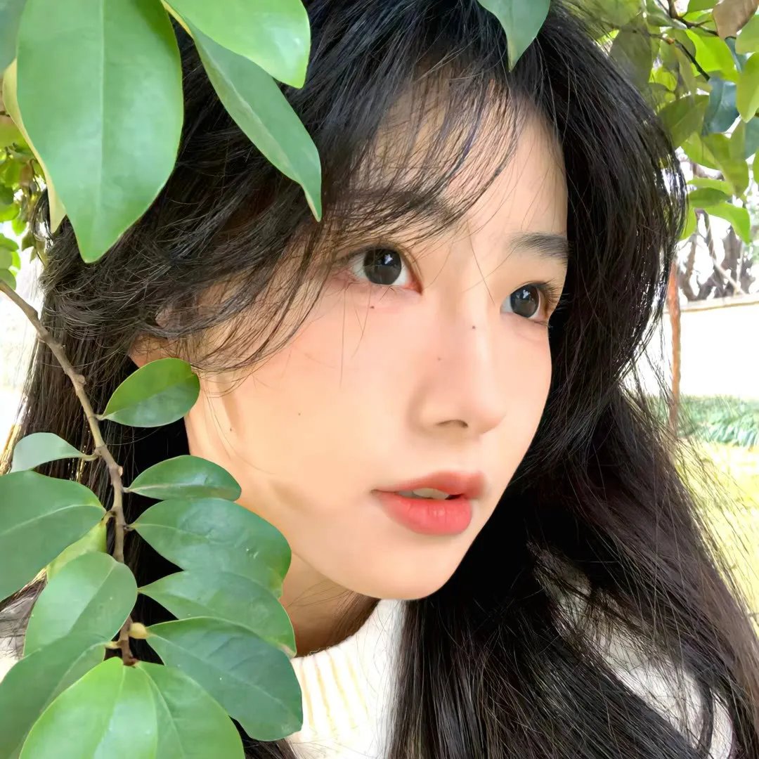 开麦拉狂想曲